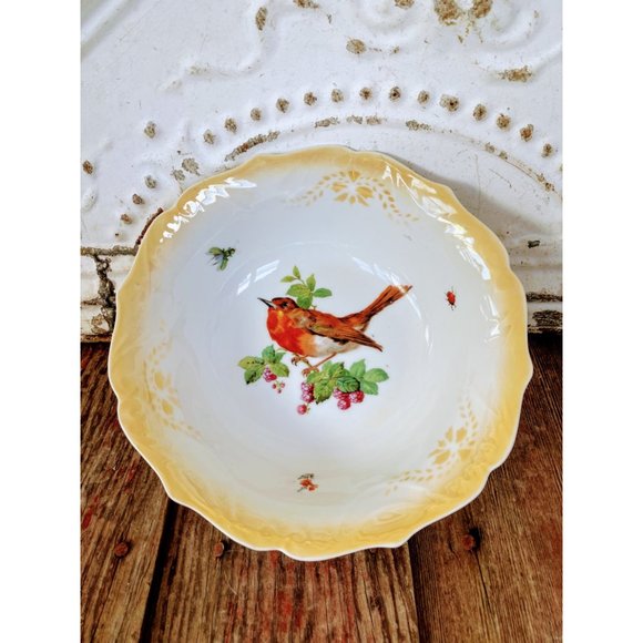 Vintage Germany Porcelain Bowl Robin Bird Lady Bug Fly - Picture 2 of 7